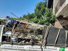 Best Appliance Removal  in Los Luceros, NM