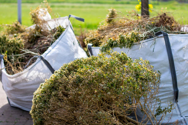 Best Carpet Removal and Disposal  in Los Luceros, NM